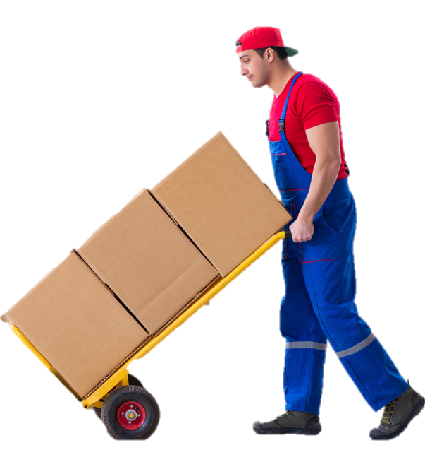 Packers and Movers in Rajkot